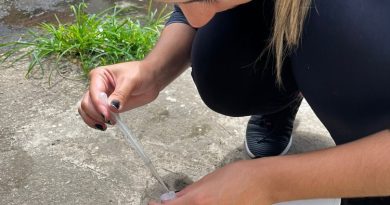 Mais de 50 focos encontrados durante Faxinão da Dengue no Turf Club